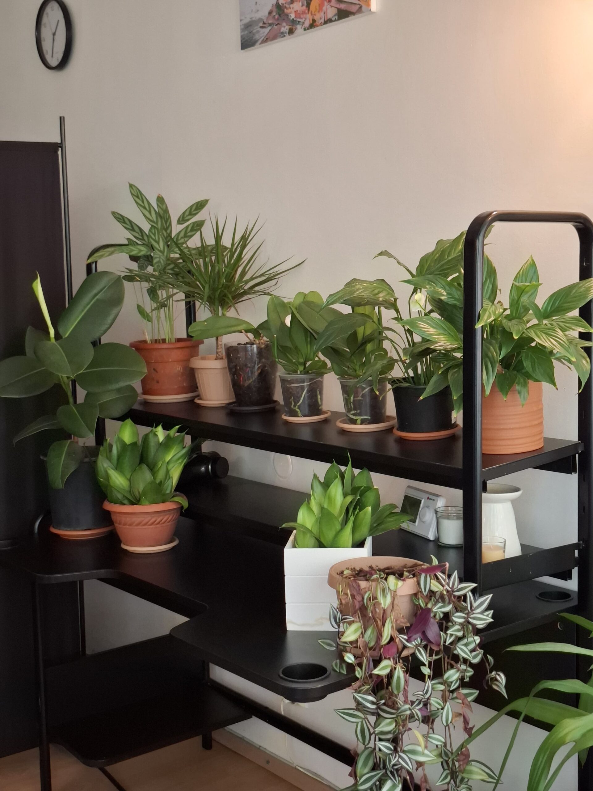 Cabinet de masaj Deva